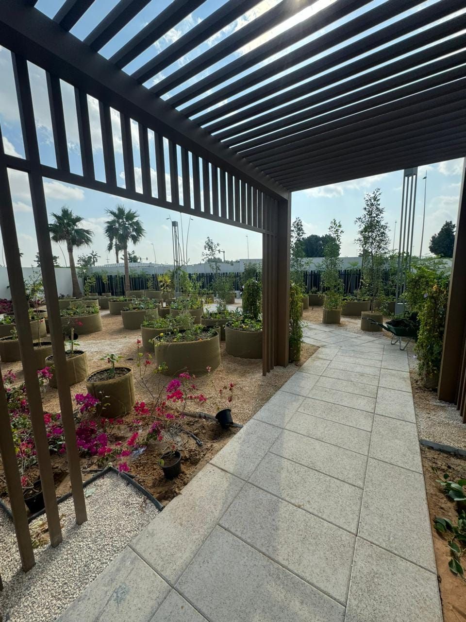 NOYA Phase 1, photo 6